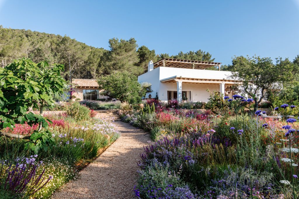 Qué dice la ley sobre vaciar una vivienda al venderla