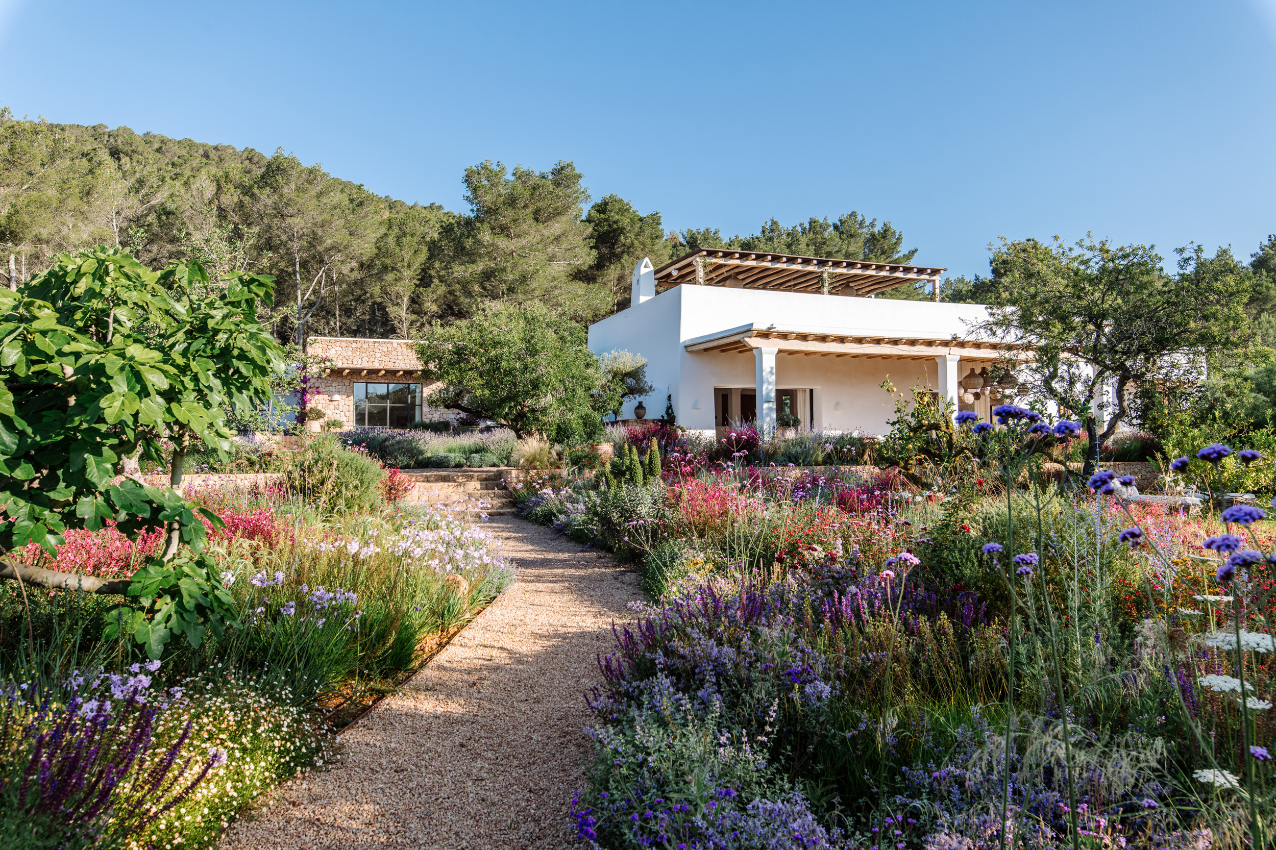 Qué dice la ley sobre vaciar una vivienda al venderla